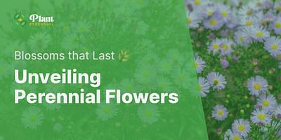 Unveiling Perennial Flowers - Blossoms that Last 🌿