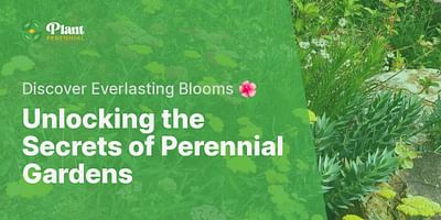 Unlocking the Secrets of Perennial Gardens - Discover Everlasting Blooms 🌺