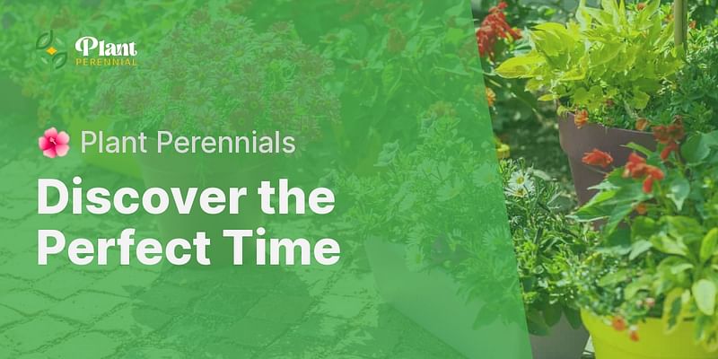 Discover the Perfect Time - 🌺 Plant Perennials