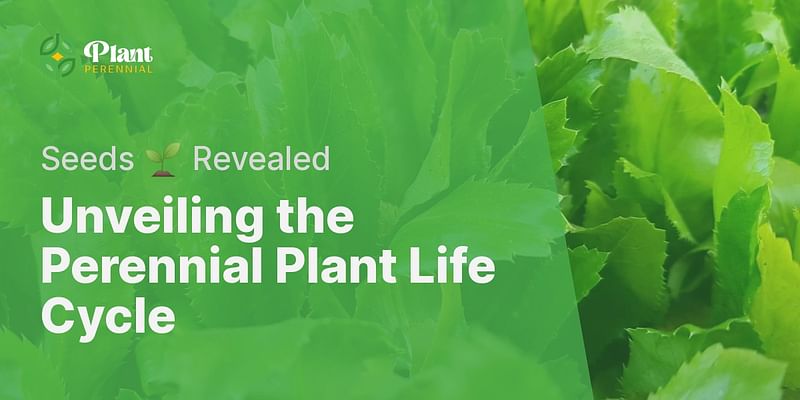 Unveiling the Perennial Plant Life Cycle - Seeds 🌱 Revealed