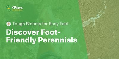 Discover Foot-Friendly Perennials - 🌼 Tough Blooms for Busy Feet