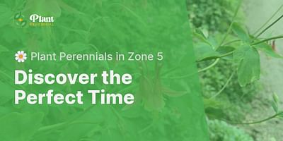 Discover the Perfect Time - 🌼 Plant Perennials in Zone 5