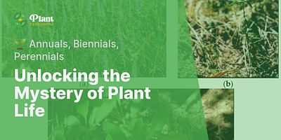 Unlocking the Mystery of Plant Life - 🌱 Annuals, Biennials, Perennials