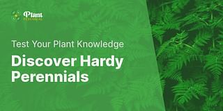 Discover Hardy Perennials - Test Your Plant Knowledge
