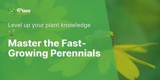 Master the Fast-Growing Perennials - Level up your plant knowledge 🌱