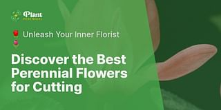Discover the Best Perennial Flowers for Cutting - 🌹 Unleash Your Inner Florist 🌷