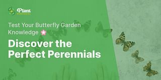 Discover the Perfect Perennials - Test Your Butterfly Garden Knowledge 🌸