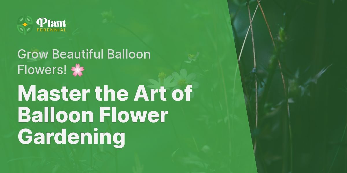 Planting and Nurturing Your Balloon Flowers A StepbyStep Guide