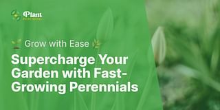 Supercharge Your Garden with Fast-Growing Perennials - 🌱 Grow with Ease 🌿