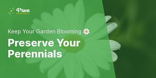 Preserve Your Perennials - Keep Your Garden Blooming 🌼