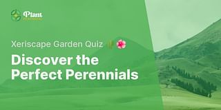 Discover the Perfect Perennials - Xeriscape Garden Quiz 🌵🌺