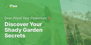 Discover Your Shady Garden Secrets - Deer-Proof Your Perennials 🦌