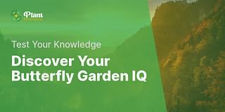 Discover Your Butterfly Garden IQ - Test Your Knowledge