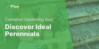 Discover Ideal Perennials - Container Gardening Quiz