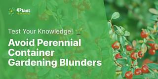 Avoid Perennial Container Gardening Blunders - Test Your Knowledge! 🌱