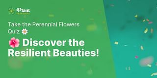 🌺 Discover the Resilient Beauties! - Take the Perennial Flowers Quiz 🌼
