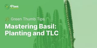 Mastering Basil: Planting and TLC - 🌿 Green Thumb Tips