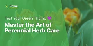 Master the Art of Perennial Herb Care - Test Your Green Thumb 💜