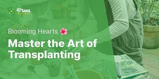 Master the Art of Transplanting - Blooming Hearts 🌺