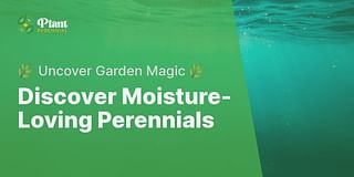 Discover Moisture-Loving Perennials - 🌿 Uncover Garden Magic 🌿