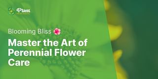 Master the Art of Perennial Flower Care - Blooming Bliss 🌺