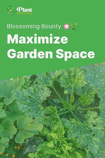 Maximize Garden Space - Blossoming Bounty 🌸🌱