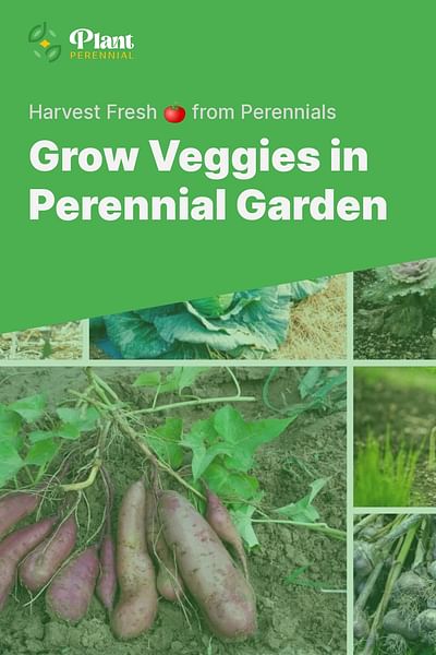 Grow Veggies in Perennial Garden - Harvest Fresh 🍅 from Perennials