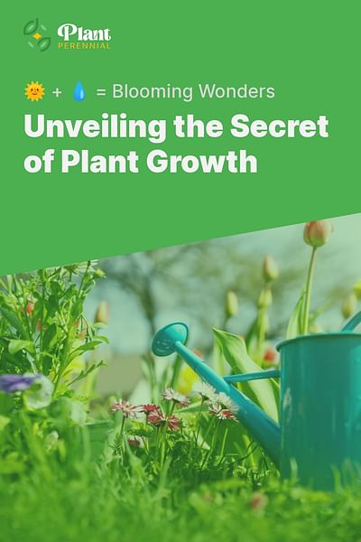 Unveiling the Secret of Plant Growth - 🌞 + 💧 = Blooming Wonders