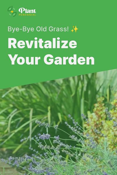 Revitalize Your Garden - Bye-Bye Old Grass! ✨