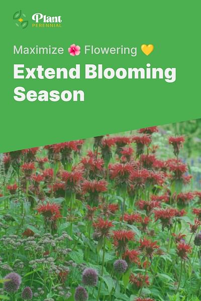 Extend Blooming Season - Maximize 🌺 Flowering 💛