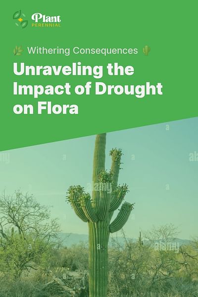 Unraveling the Impact of Drought on Flora - 🌿 Withering Consequences 🌵