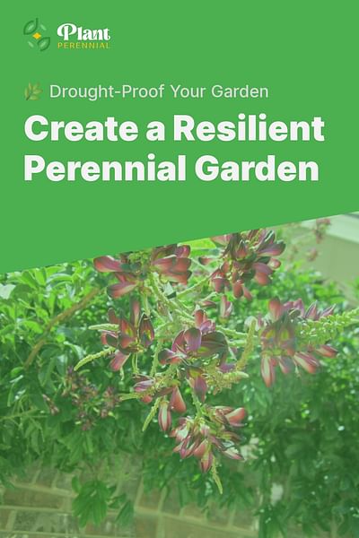 Create a Resilient Perennial Garden - 🌿 Drought-Proof Your Garden