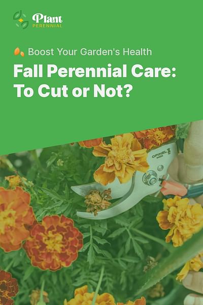 Fall Perennial Care: To Cut or Not? - 🍂 Boost Your Garden's Health