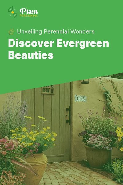 Discover Evergreen Beauties - 🌿 Unveiling Perennial Wonders