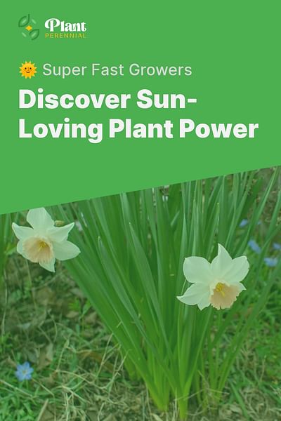 Discover Sun-Loving Plant Power - 🌞 Super Fast Growers