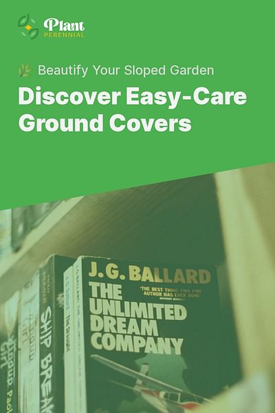 Discover Easy-Care Ground Covers - 🌿 Beautify Your Sloped Garden