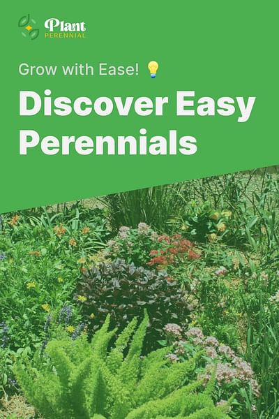 Discover Easy Perennials - Grow with Ease! 💡