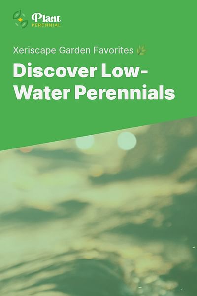 Discover Low-Water Perennials - Xeriscape Garden Favorites 🌿