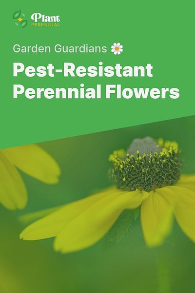 Pest-Resistant Perennial Flowers - Garden Guardians 🌼