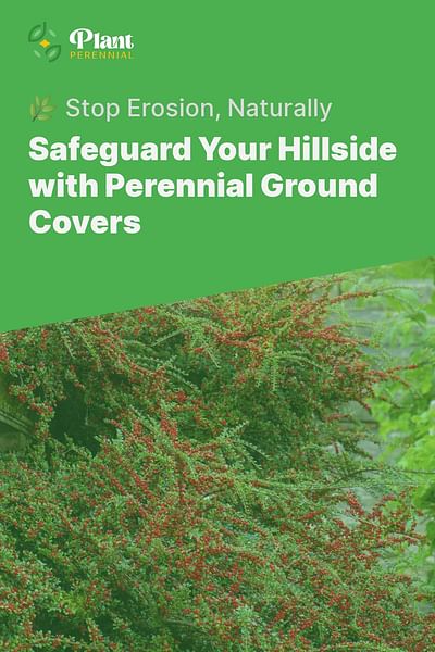 Safeguard Your Hillside with Perennial Ground Covers - 🌿 Stop Erosion, Naturally
