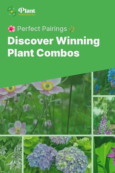 Discover Winning Plant Combos - 🌺 Perfect Pairings 🌿