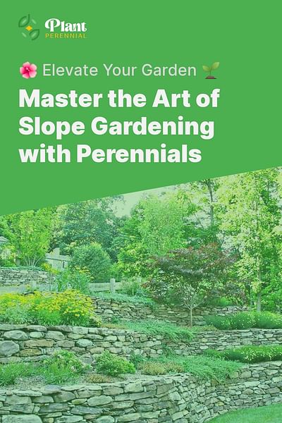 Master the Art of Slope Gardening with Perennials - 🌺 Elevate Your Garden 🌱