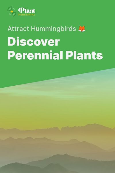 Discover Perennial Plants - Attract Hummingbirds 🦊