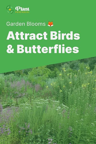 Attract Birds & Butterflies - Garden Blooms 🦊