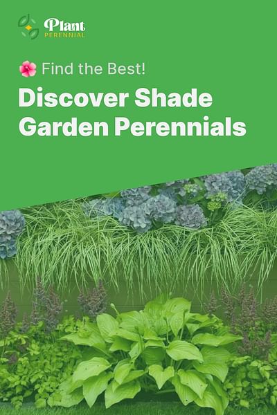 Discover Shade Garden Perennials - 🌺 Find the Best!