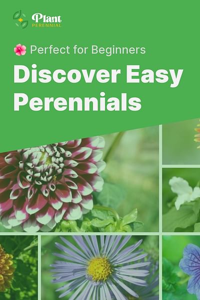 Discover Easy Perennials - 🌺 Perfect for Beginners