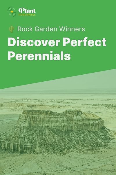 Discover Perfect Perennials - 🌵 Rock Garden Winners