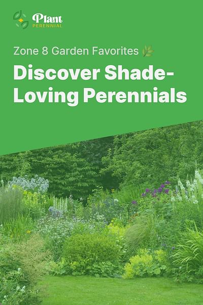 Discover Shade-Loving Perennials - Zone 8 Garden Favorites 🌿