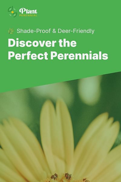 Discover the Perfect Perennials - 🌿 Shade-Proof & Deer-Friendly