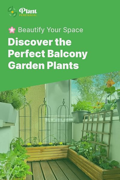 Discover the Perfect Balcony Garden Plants - 🌸 Beautify Your Space